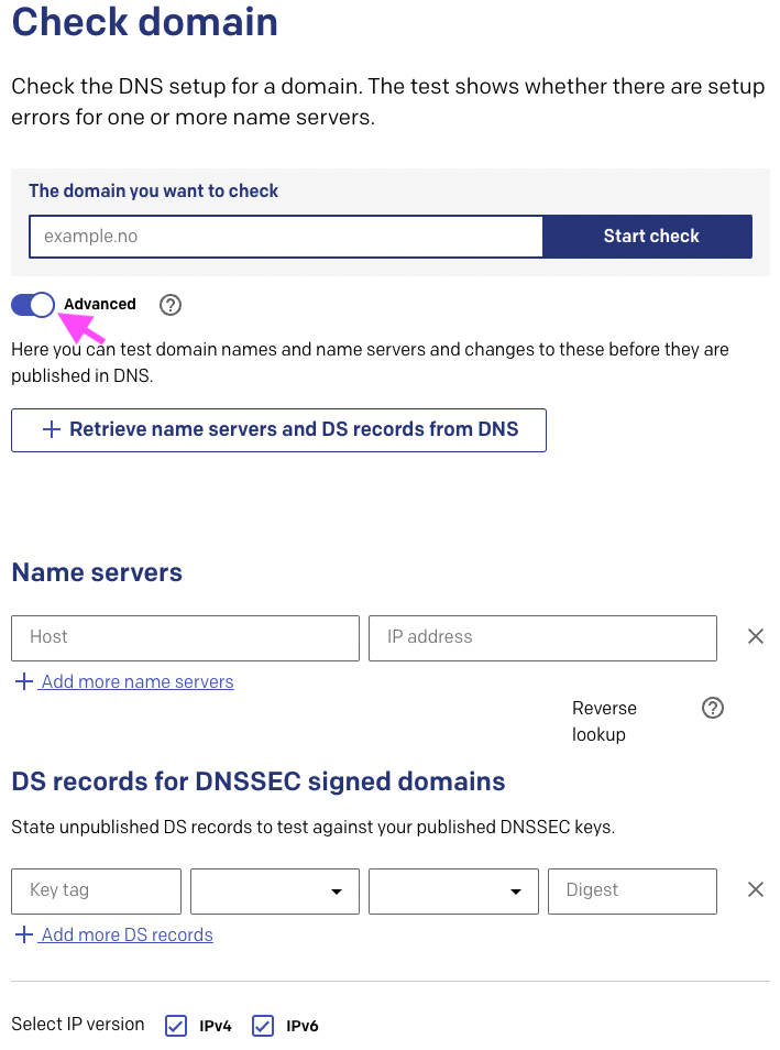 norid_dns_check.png